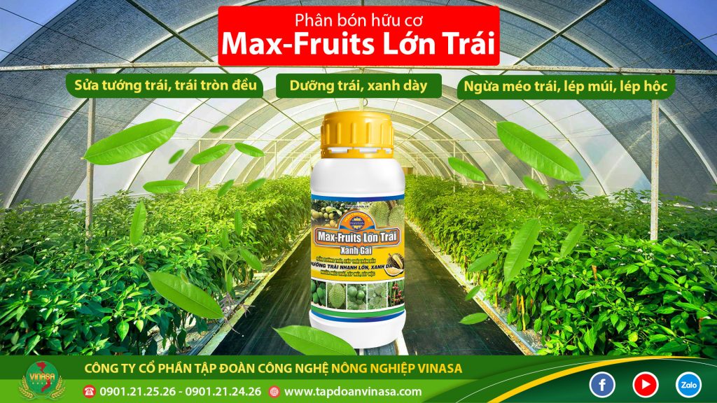 phan-bon-la-duong-trai-sau-rieng