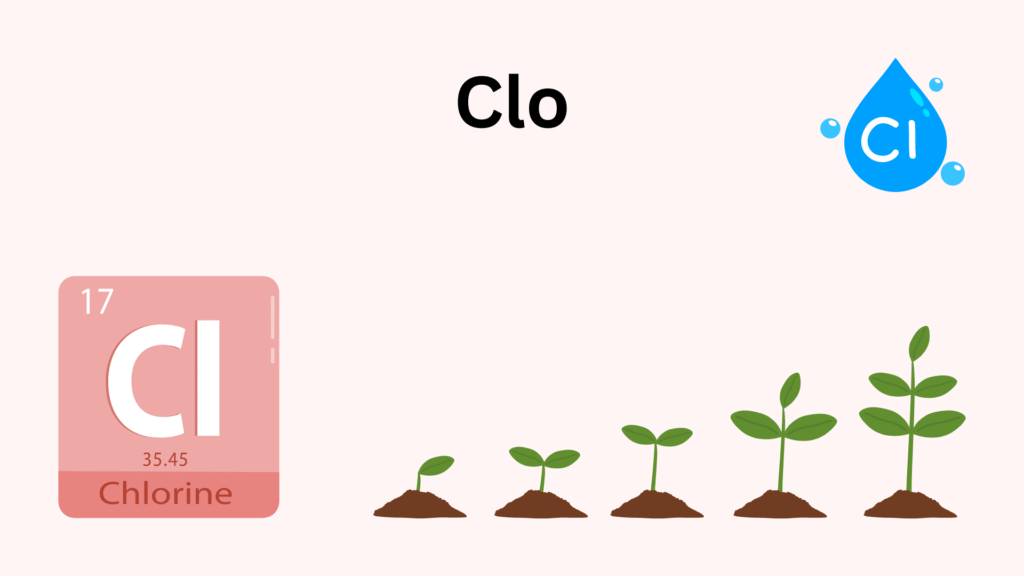 Vai trò Clo trong cơ thể thực vật