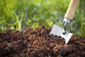 Thành phần đất trồng