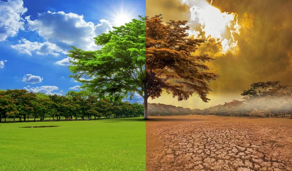 biến đổi khí hậu