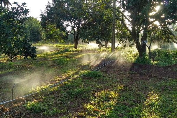 quản lý nước tưới