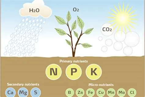mất cân đối dinh dưỡng