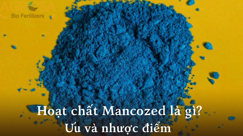 hoat-chat-mancozed-la-gi-uu-va-nhuoc-diem