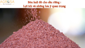 Bón kali đỏ cho sầu riêng