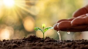 đất nào giữ nước tốt