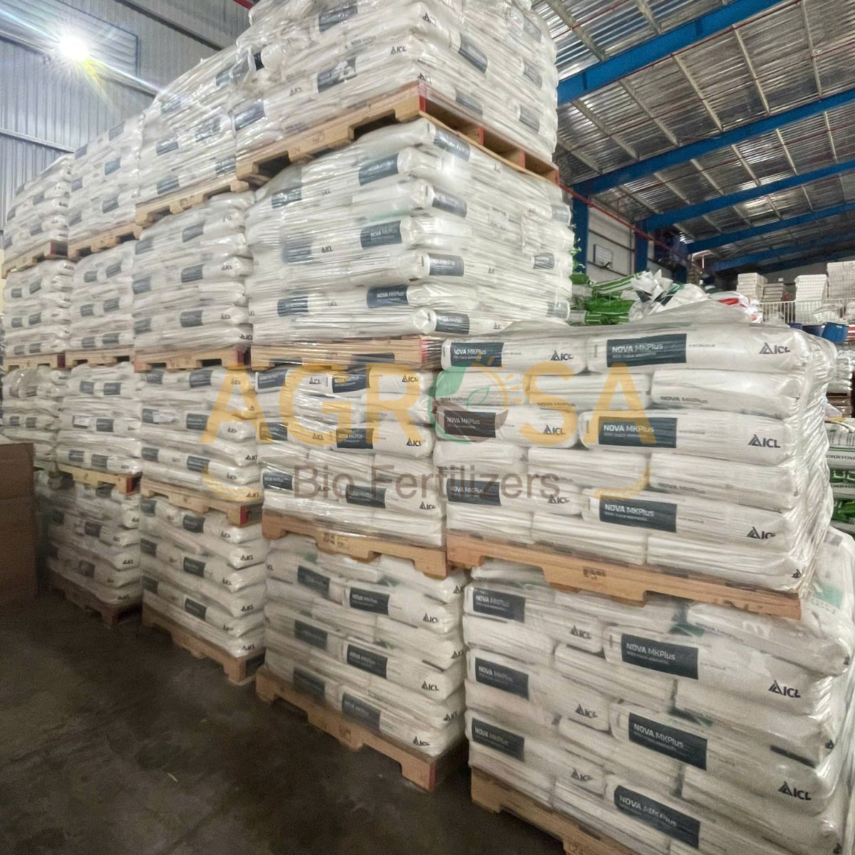 MKP Plus (2)