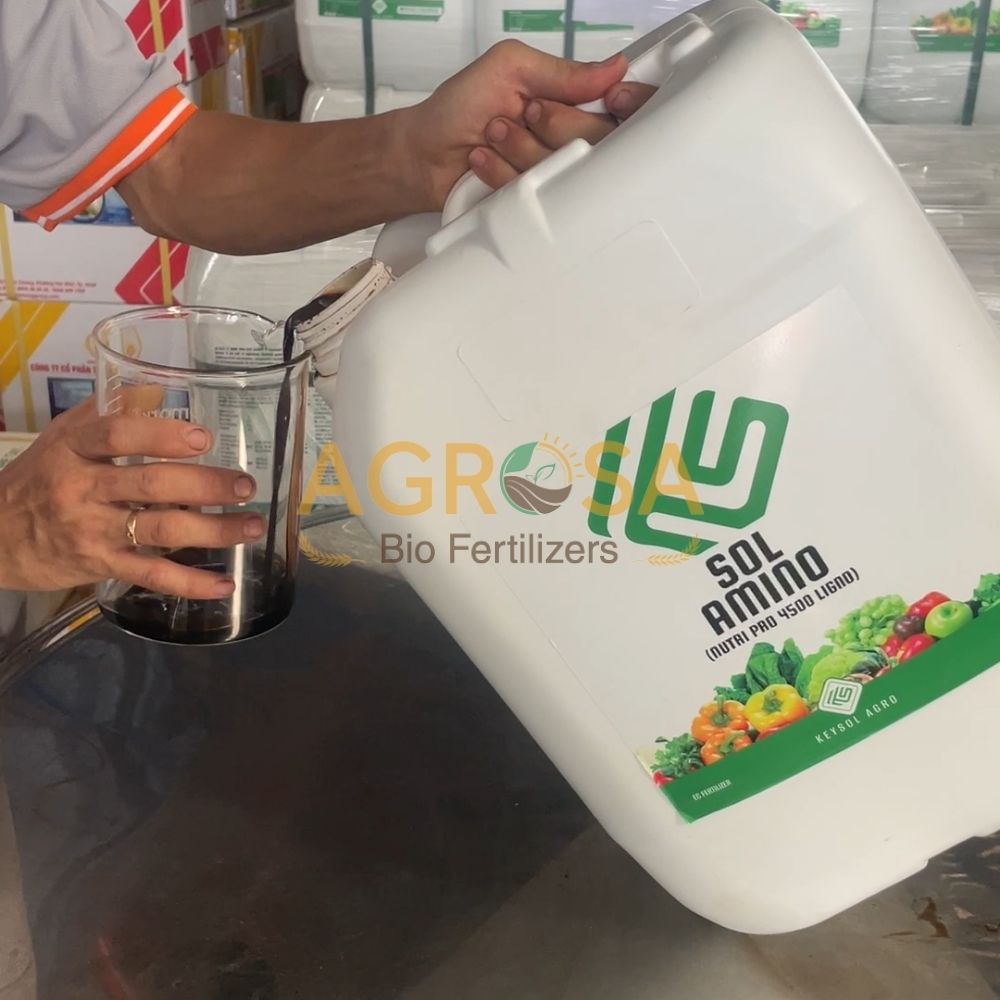 sol amino (1) Amino axit nhập khẩu
