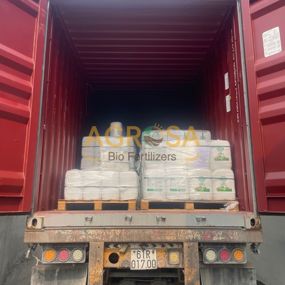 sol amino (4) Tác dụng của amino acid đối với cây trồng
